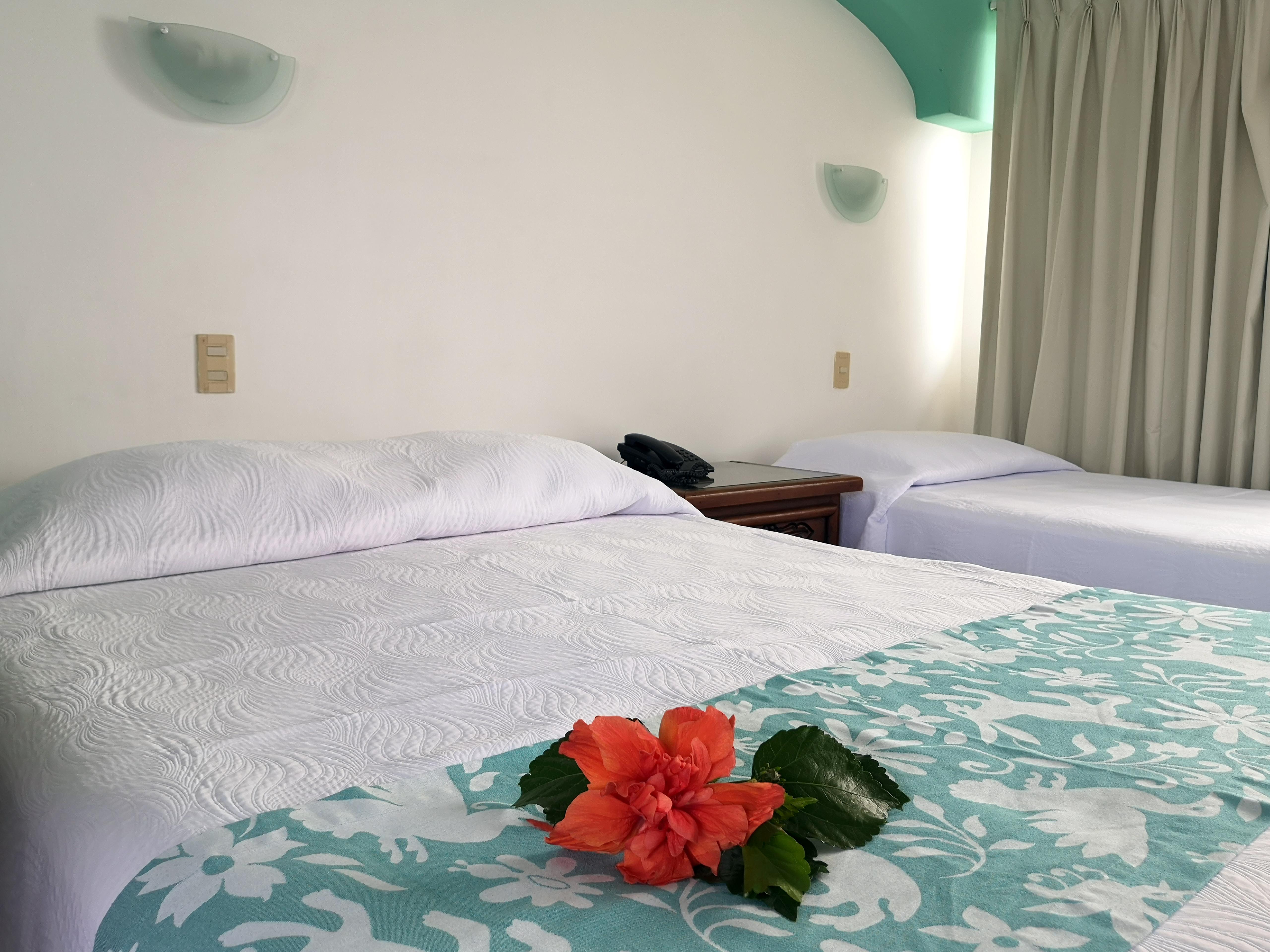 Hotel Rosita プエルトバラータ エクステリア 写真